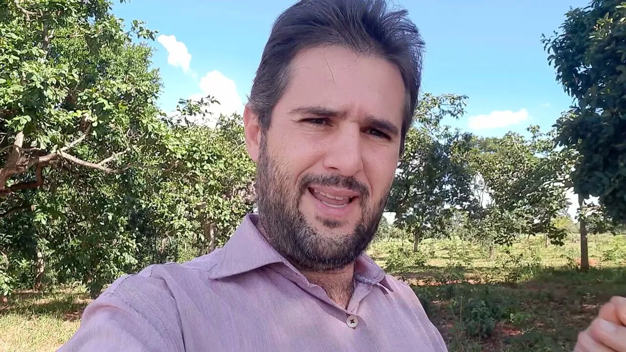 Perícia judicial: Relatos e alegações devem ser confirmados.