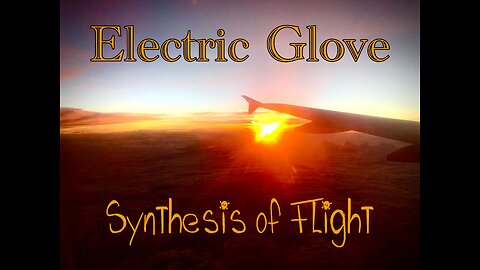 Synthesis of Flight (Electric Glove)