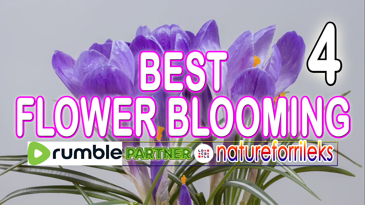 Best Flower Blooming Part-4