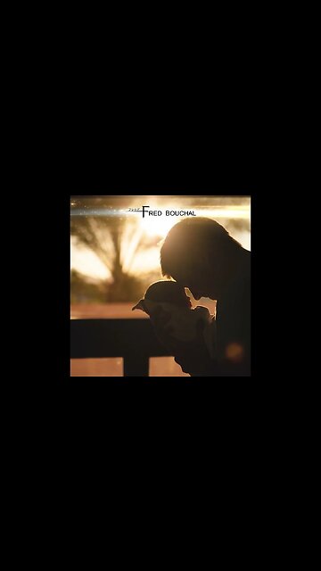 #orchestralmusic #music #classicalmusic