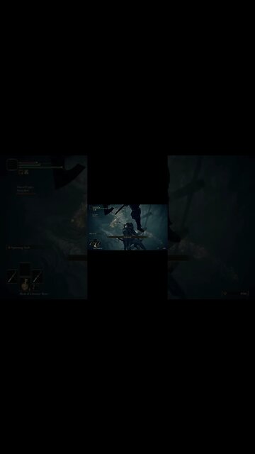 "BRO CLIMB THE LADDER!" Elden Ring Funny Troll Moments Seamless Co-op #shorts #eldenring #memes