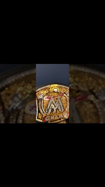 Why Do I Have The Miz WWE Spinner Belt? #shorts