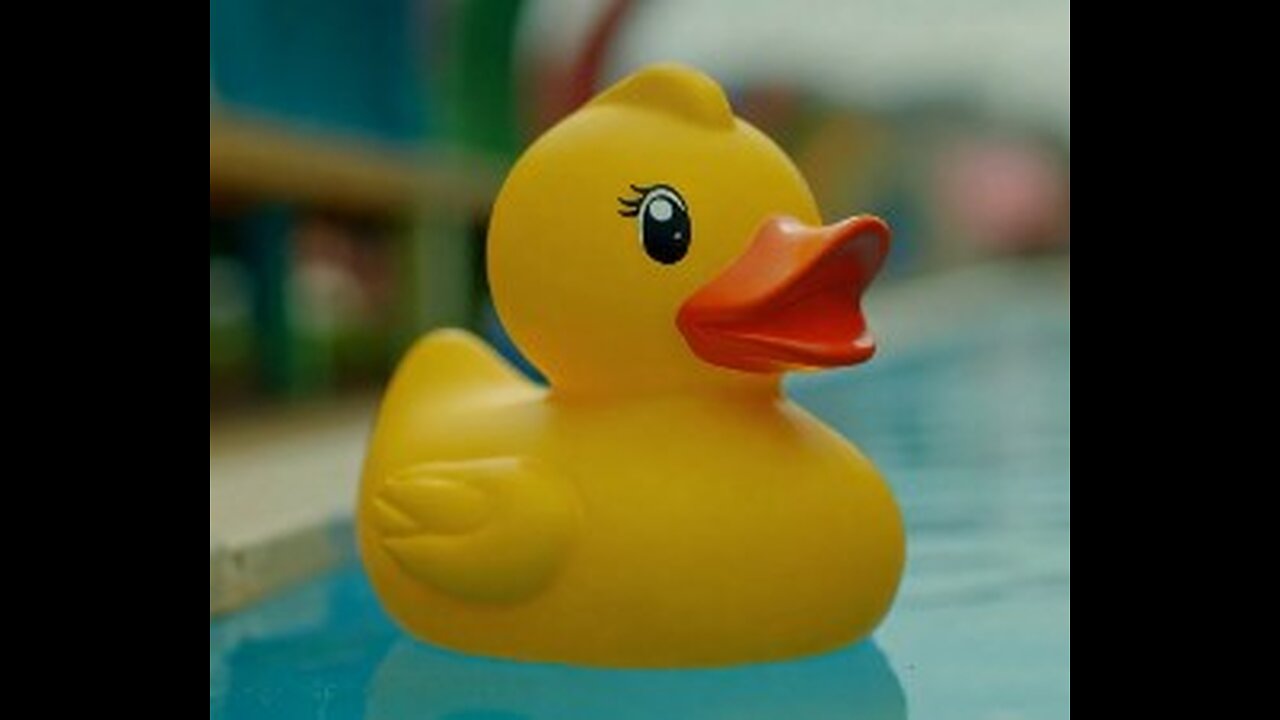 A little duck!