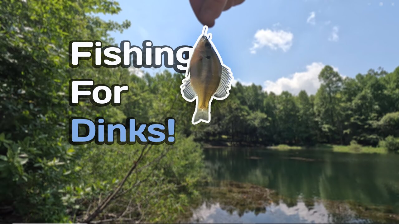 Catching Bluegill To Put In My Pond