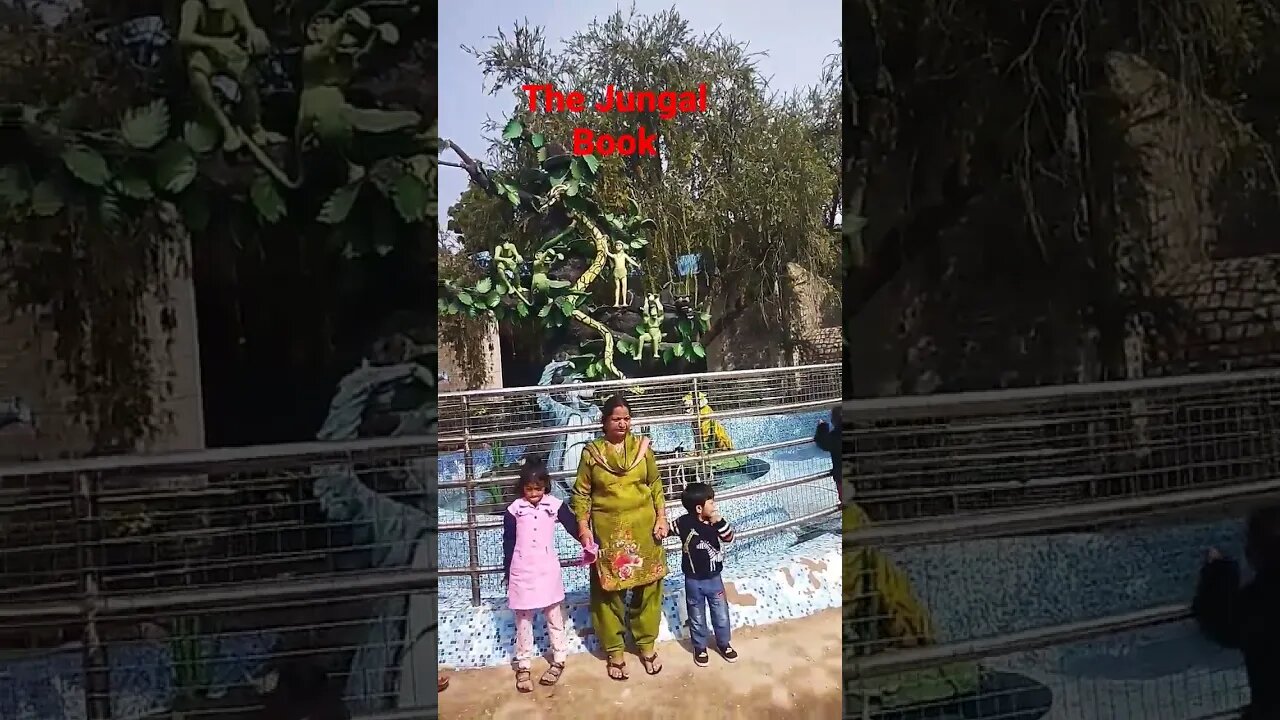 the jungal book #mogali #shorts #reel #viral #trevel