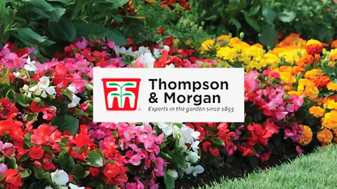 💐 Thompson & Morgan - Garden Seeds