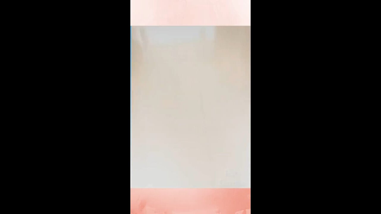 Funny animal videos