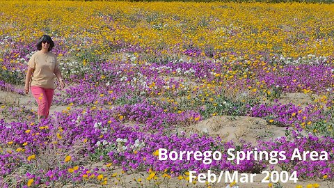 Borrego Springs Area