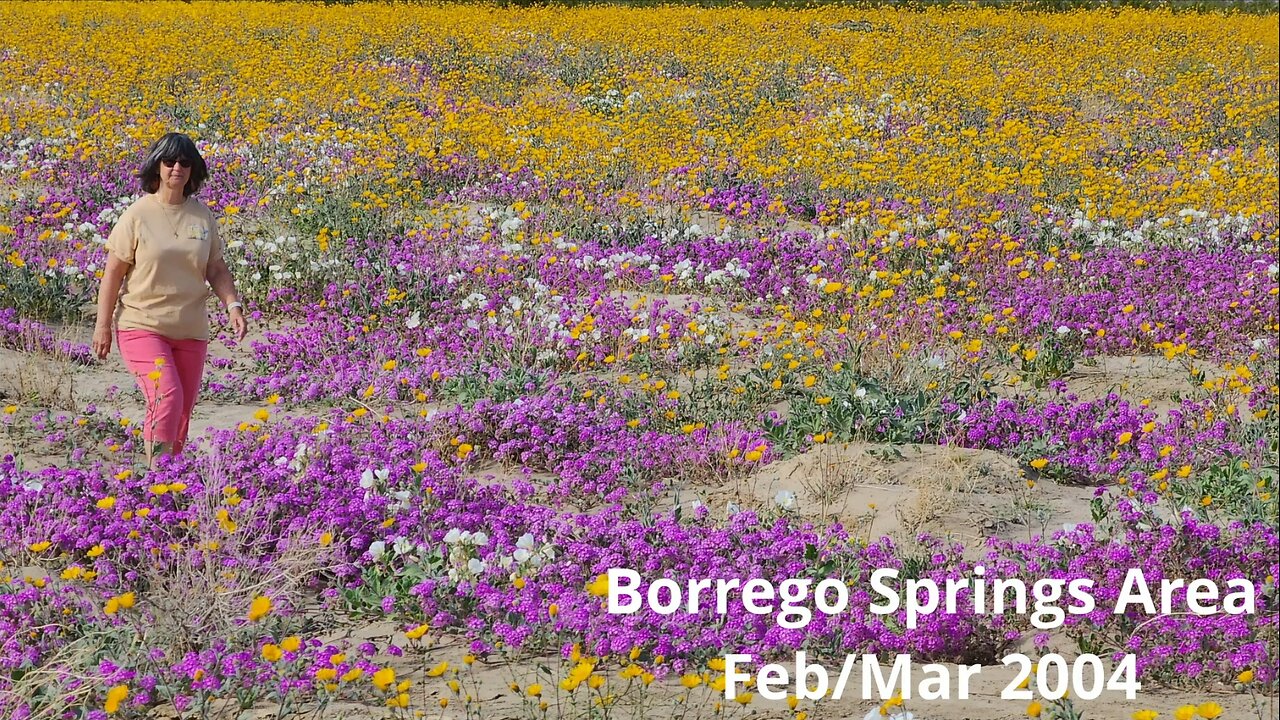 Borrego Springs Area