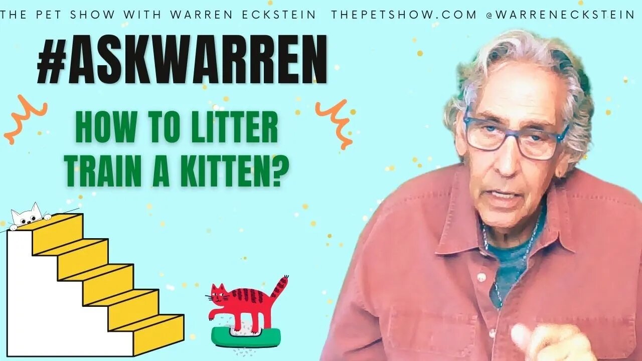 Ask Warren: How to Litter Train a Kitten?