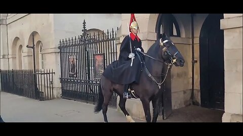 Horse was more than ready to go changing of the Guards #horseguardsparade