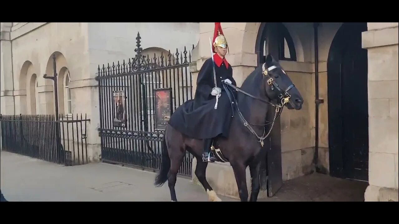 Horse was more than ready to go changing of the Guards #horseguardsparade