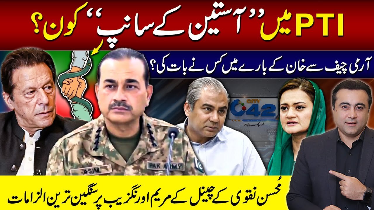 Who is the "Snake in grass" in PTI? | Who talked to Army Chief about Imran Khan? | Mansoor Ali Khan