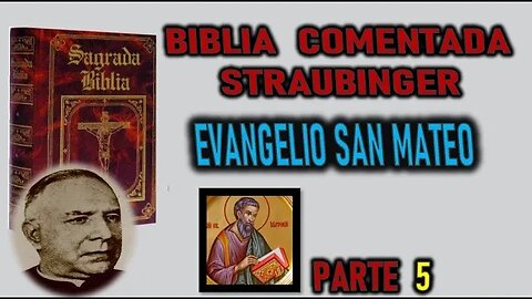 JESUS TENTADO POR EL DEMONIO - BIBLIA STRAUBINGER EVANGELIO SEGUN SAN MATEO PARTE 5