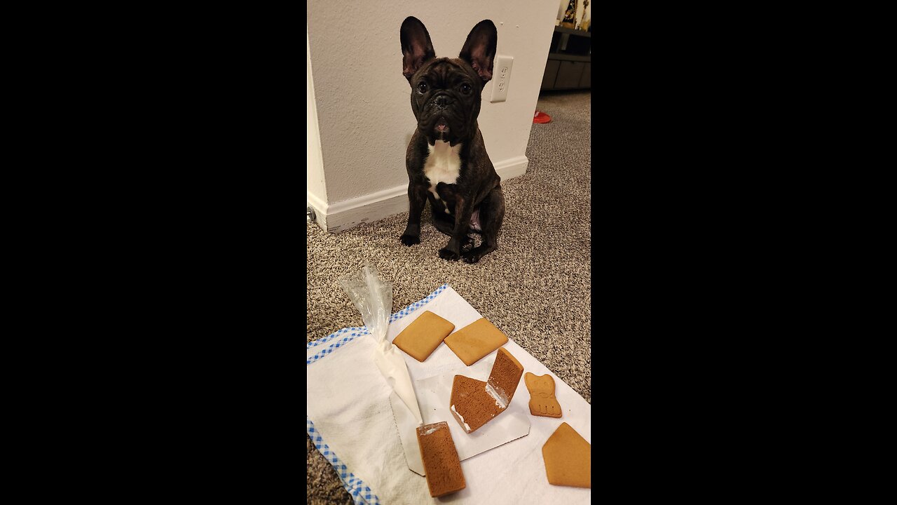 I have a cookie house all to myself!