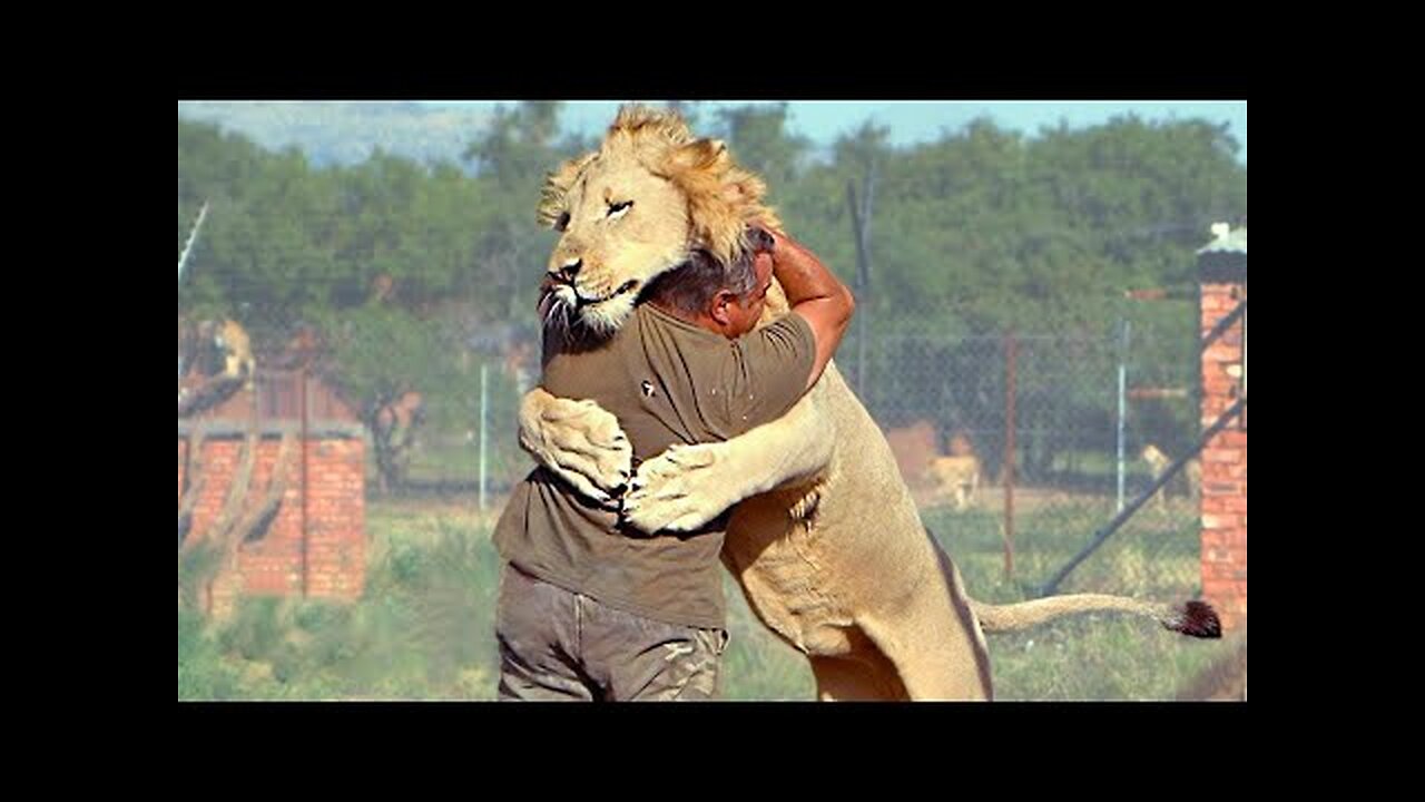 Animals Reunited With Owners After Years !