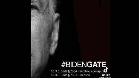 BIDENGATE - TREASON