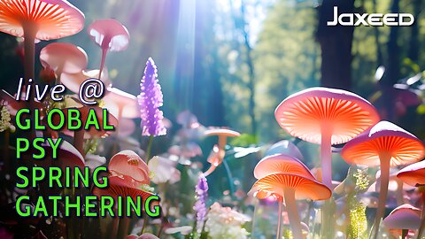 Live @ Global Psy Spring Gathering
