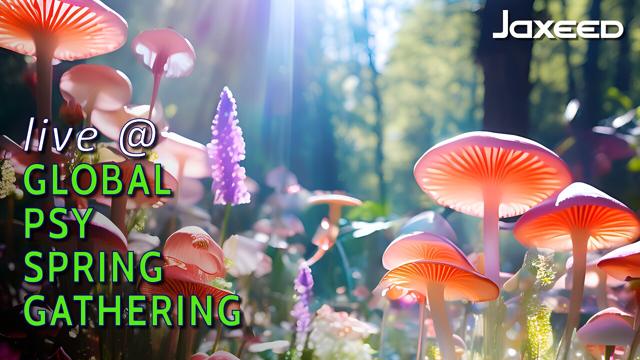 Live @ Global Psy Spring Gathering