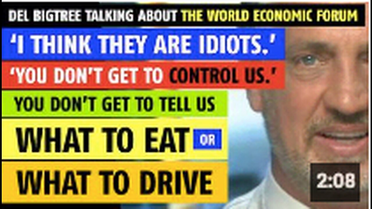 'I think they are idiots', Del Bigtree says about the World Economic Forum (WEF)