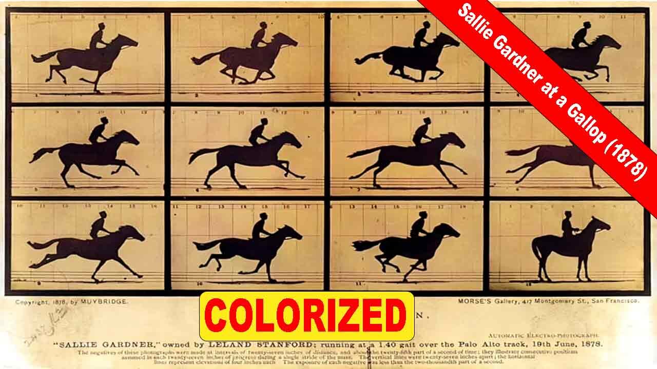 Sallie Gardner at a Gallop (1878) | The Horse in Motion | Old Colorized Movie