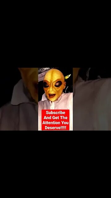 Love Is in the Air Zjorg Says Happy Valentine's Day