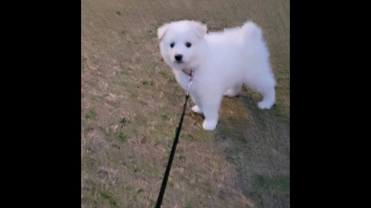 Sophie Knows Her Name