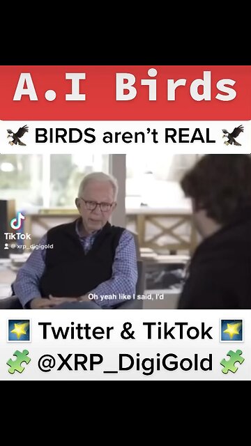 Artificial Intelligence BIRDS