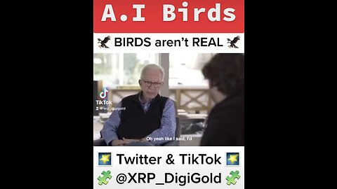 Artificial Intelligence BIRDS