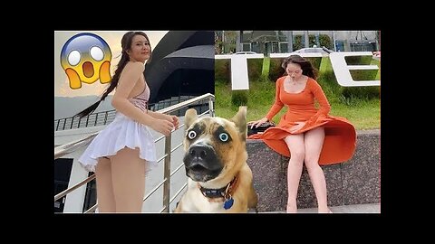 Funniest Animals Videos 2023 😍 Funniest Dogs And Cats 🐱🐶