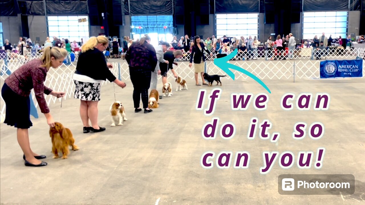 It’s Only Scary Because It’s New | 1st AKC Dog Show With Cavalier