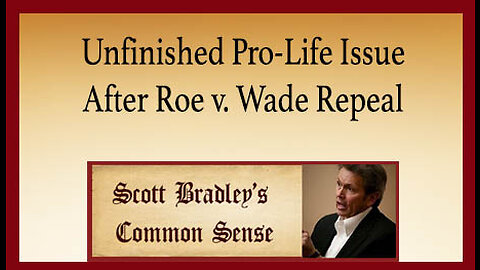 Unfinished Pro-Life Issue After Roe v. Wade Repeal