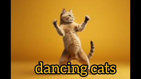 dancing cat