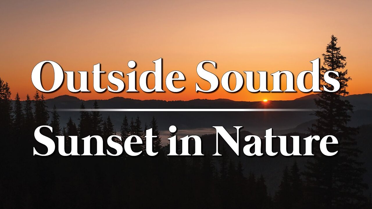 Nature Sunset | 8hrs | Sounds to help relax, sleep, read, & study.