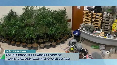 Ação em Ipatinga: Polícia Encontra Laboratório de Plantação de Maconha no Vale do Aço.