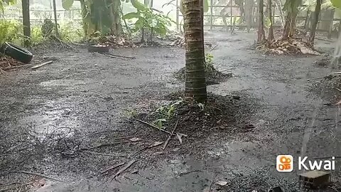 muita água no sítio hoje.🏊🏊🏊