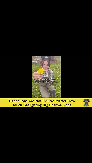 Dandelions Are Not Evil No Matter How Much Gaslighting Big Pharma Does