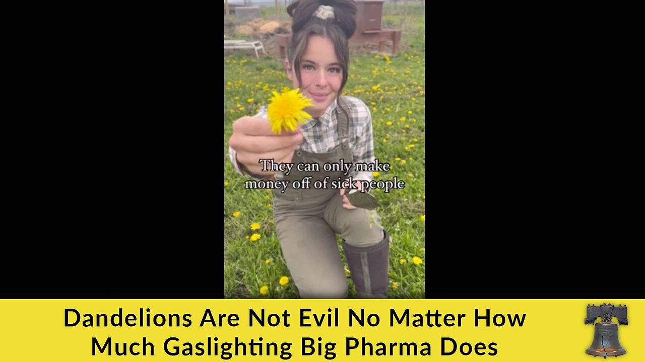 Dandelions Are Not Evil No Matter How Much Gaslighting Big Pharma Does