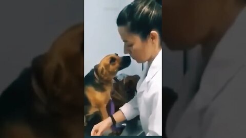 #viral #dog #dogs #pet #pets #vet
