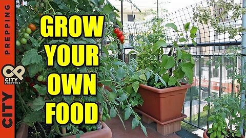 How To Grow Vegetables In An Apartment