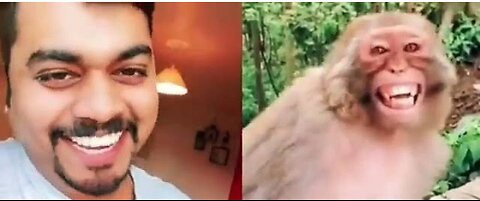 👌Troll Prank Dog Funny 🤣🤣🤣