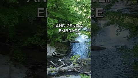 Listen to full meditations at Women's meditation network channel #meditation #sleep #shorts