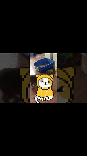 A Cartoon Cat Visits #Shorts 😺