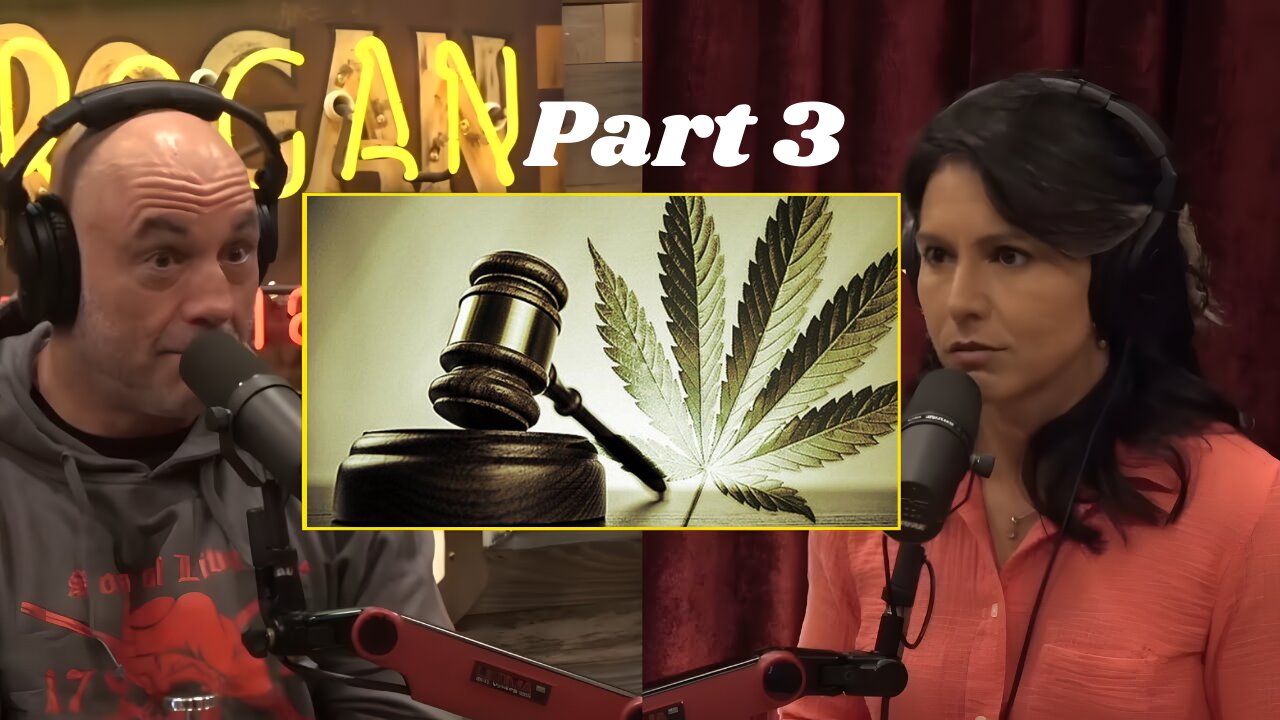 Joe Rogan And Tulsi Gabbard Talk About Corrupt FBI And Loss Of Our Freedoms part 3