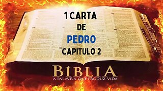 1 CARTA DE Pedro CAP 2