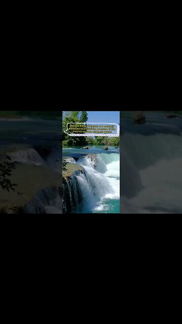 Humans Like Waterfalls?