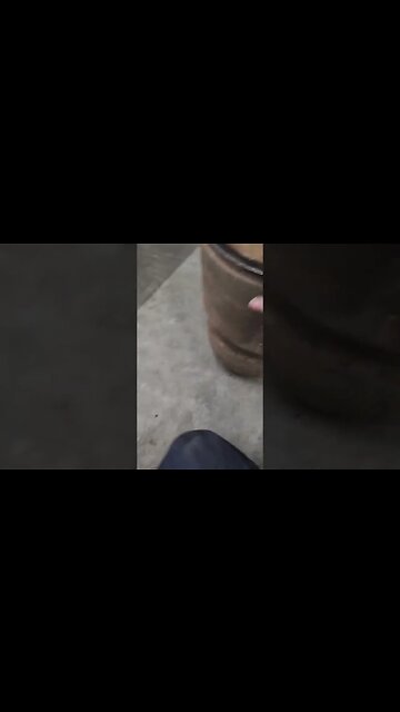 This DOC (Diesel Oxidation Catalyst) is definitely plugged up! #dpfclean #dpfclean #emissions