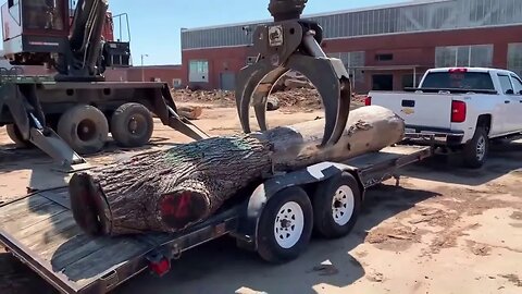 After Years Of Being Passed Over This Log Had A Story To Tell, Gatlinburg Fire Log