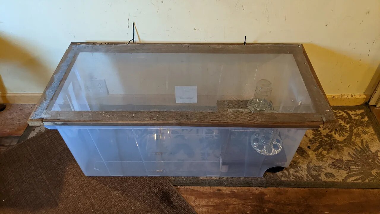 Brooder Box made from a 50 Gallon Tote and an Old Screen Door.