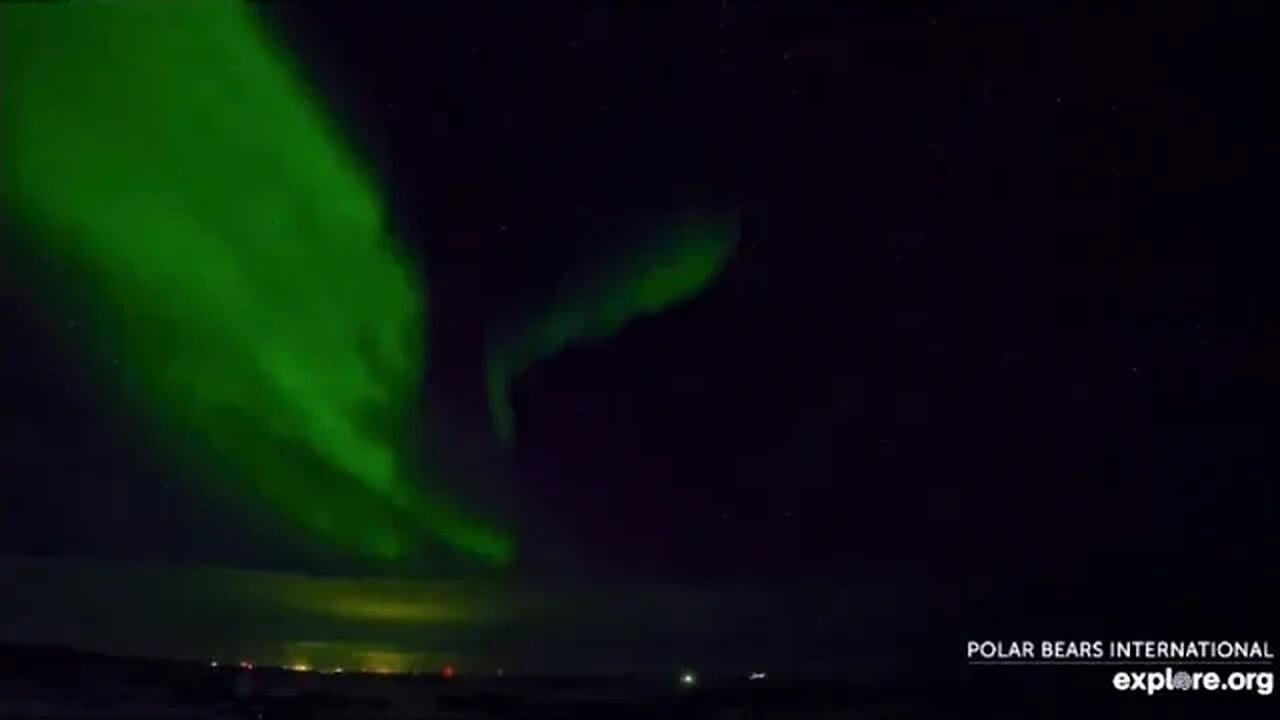 Northern Lights Churchill, Canada 🌟 02/10/23